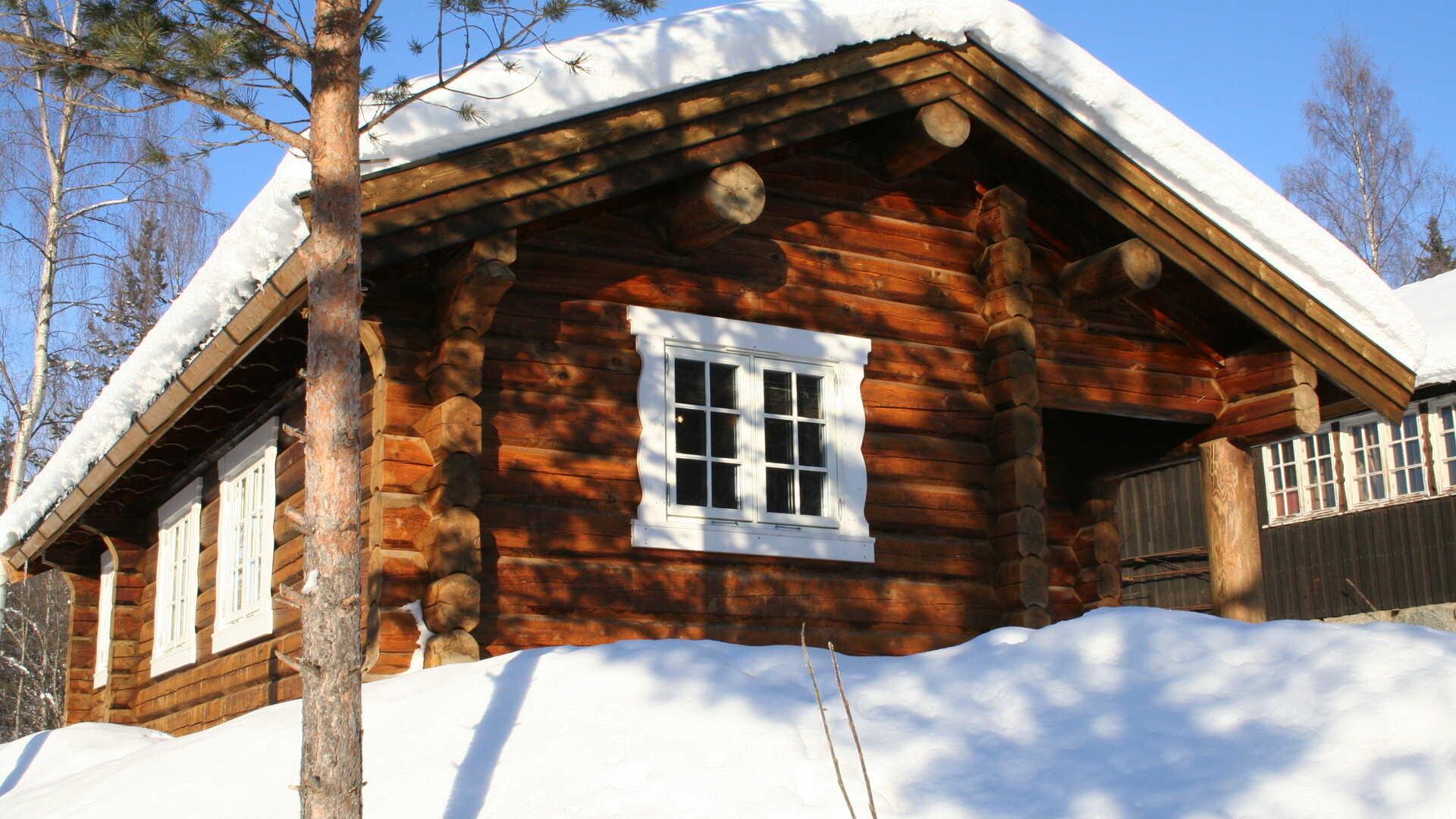 Log House