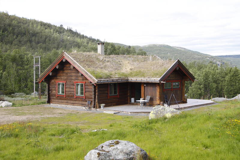 Gallery Image Alt