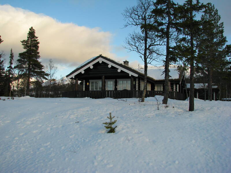 Gallery Image Alt