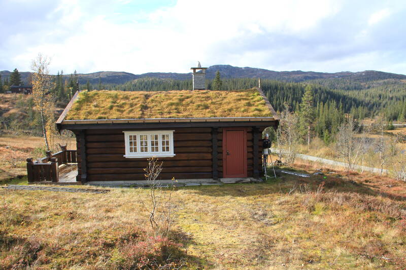Gallery Image Alt